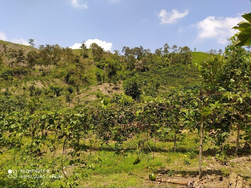Imagen 7 de 15 de 5 Lotes De 4.95 Htas En Venta