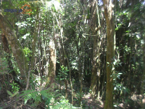 Imagem 3 de 12 de Terreno Ideal Para Chácara À Venda, 1.387 M² - Estância Alto Da Serra (ouro Fino Paulista) - Ribeirão Pires/sp - Te0959