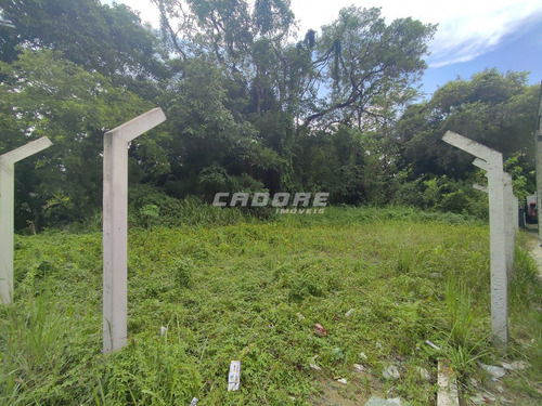 Imagem 5 de 13 de Ótimo Terreno Comercial /residencial No Bairro Velha Central - 3052462v