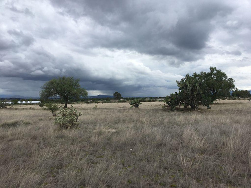 Terreno En Zumpango, Edo. De Méx. Sup. 70 Hectáreas.