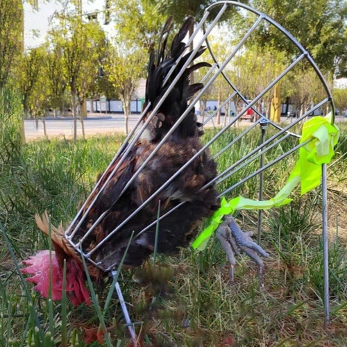 Cone De Frango Para Açougue Suporte De Cone De Abate De L