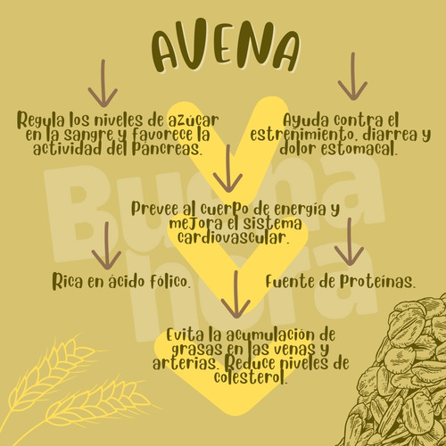 Avena En Hojuela Buenahora 20kg