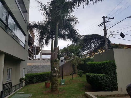 Imagem 8 de 30 de Apartamento Para Venda, 3 Dormitórios, Jardim Cidade Pirituba - São Paulo - 2452
