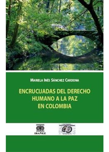 Libro Encrucijadas Del Derecho Humano A La Paz En Colombia