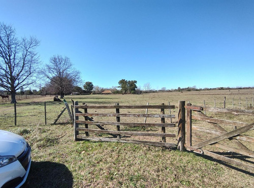 Imagen 12 de 14 de Venta Lote Terreno 3500mts En Exaltacion De La Cruz