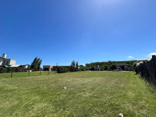 Viñedos De La Tahona, Último Fondo Al Lago