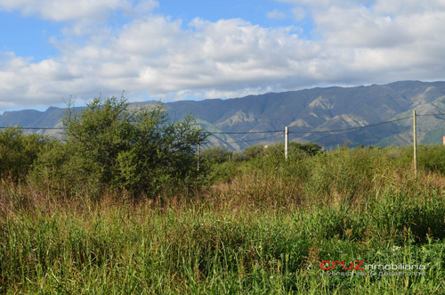 Imagen 7 de 14 de Lote De 870m2 En Carpinteria Centro A 10 Min De Merlo!