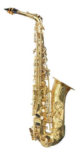 Saxofón Alto Roy Benson As-202 Laqueado Con Estuche