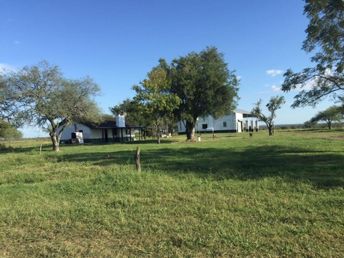 Campo En Venta En Paysandú Ref. 5475 (ref: Cbr-928)