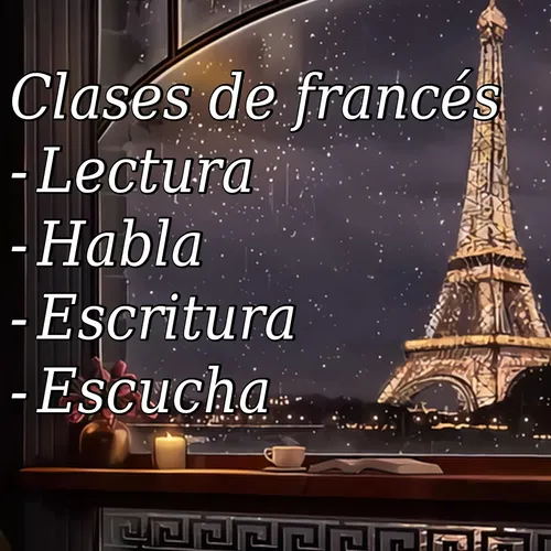 Clases De Francés Particulares