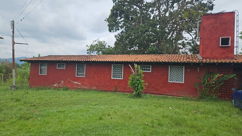 Finca 58 Hectareass, 90% Plana , Agua, Electricidad , Documentos En Bejuma Carabobo 2
