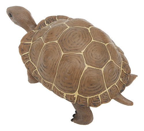 Juguete Temprano De Simulación De Elefante Y Tortuga Vivid A