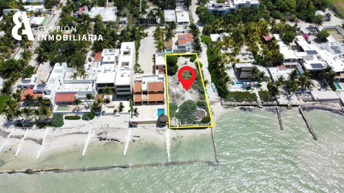 Terreno En Venta En Progreso, Yucatan. Mtv315.