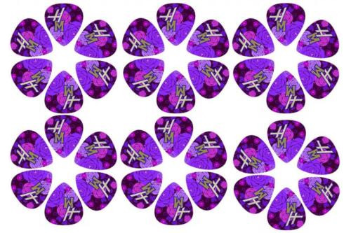 Disney Hannah Montana Guitar Picks- 6 Tear-drop Shaped P Eeb