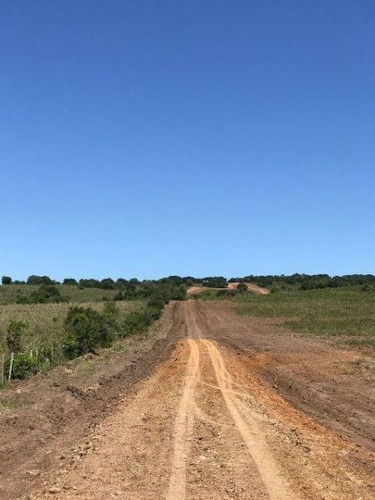 Imagen 3 de 15 de Quinta En Venta En Garzon