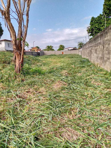 Imagen 4 de 6 de Terreno En Venta. Alto Barinas