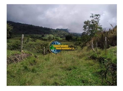 Imagen 6 de 10 de Finca Jaji