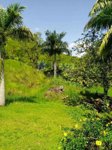 Sítio A Venda Em Massaranduba/sc - 1764c