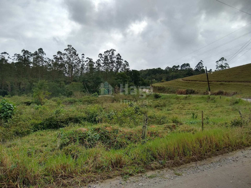 Terreno Rural Para Chácara À Venda Em Navegantes/sc - 1399c