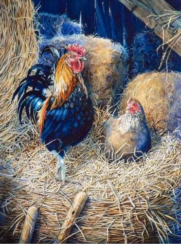 Parejita De Gallo Y Gallina Kit De Pintura Con Diamantes 5d