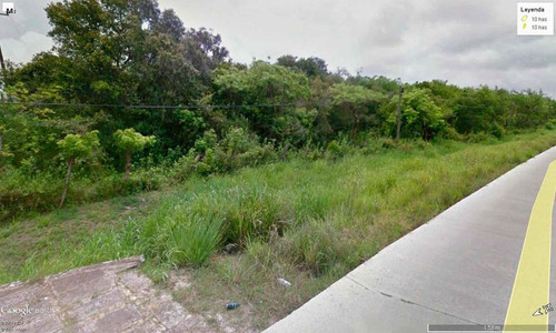 Venta Terreno 10 Hectáreas Carretera Tuxpan - Tamiahua Veracruz