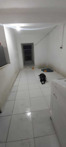 Imagem 10 de 13 de Pet Shop, Consultório, Banho E Tosa, Hotelzinho E Residência