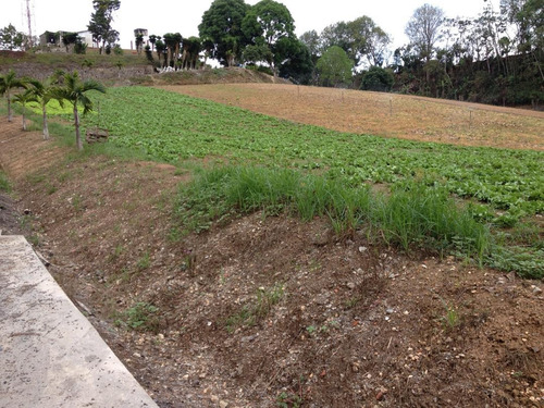 Imagen 8 de 13 de Se Vende Terreno 66.280m² El Retiro San Antonio De Los Altos