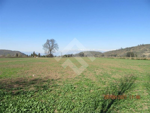 Imagen 7 de 27 de Parcela Agrícola En Venta En Paine