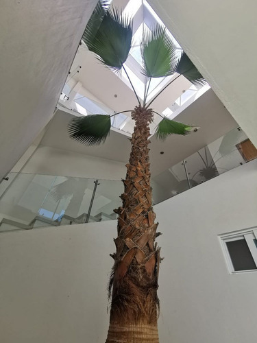 Imagen 4 de 19 de Renta Casa Colinas De Gran Jardín León Guanajuato