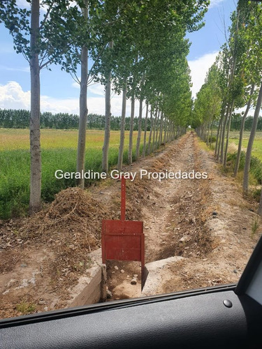 Campo En Venta De 70 Has Ubicado En Tratayen