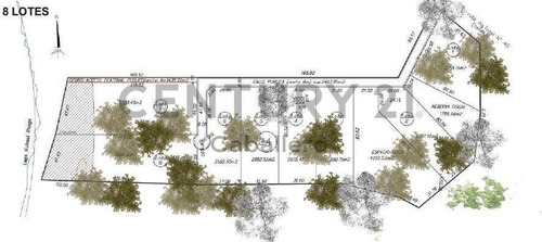 Imagen 6 de 30 de Exclusivo Lote 5.050 M2 Con Costa Lago N.huapi, Villa La Angostura - L 7