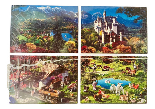 Rompecabezas Family Puzzle Ravensburger 4 Diferentes Tamaños