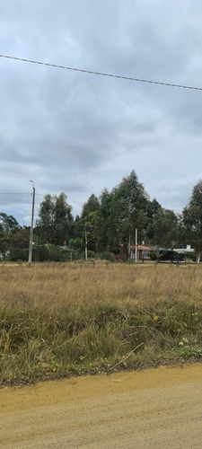 Imagen 6 de 8 de Terreno Muy Grande Y Nivelado, Ideal Vivienda Comercio. Sobre Calle Avenida Nogueira A Dos Cuadras De Ruta Interbalnearia Zona De Crecimiento Y Muy Tranquila.