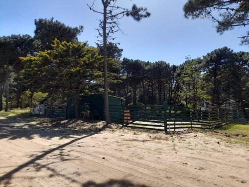 Venta Lote Con Proyecto Aprobado En Pinamar Norte