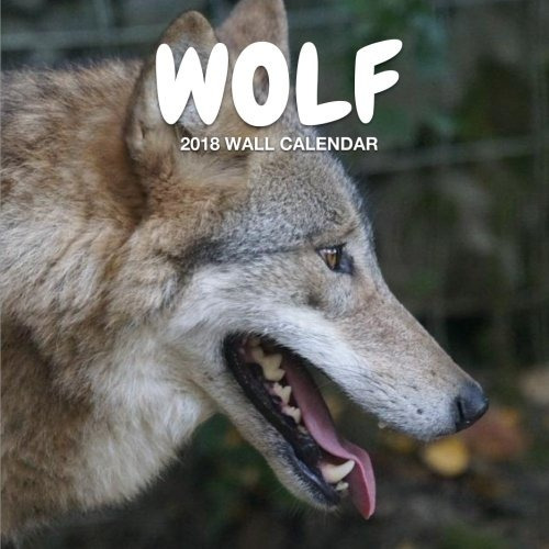 Wolf 2018 Wall Calendar Wolf Photography, 85 X 85, Mini Wall