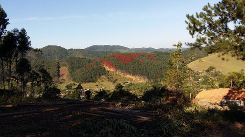 Imagem 3 de 15 de Chácara Em Canelinha - Canelinha, Sc - 129
