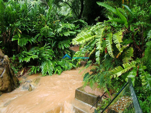 Imagem 9 de 18 de Chácara A Venda No Bairro Champirra - Rio Acima No Loteamento Vivenda - 7303