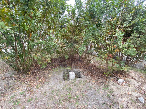 Venta Terreno 190 M² Col. Ampliacion Obrera Tuxpan Veracruz