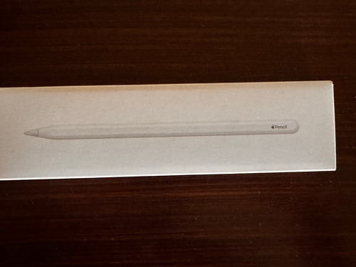 Caja Con Manuales De Apple Pencil A2051 Impecable (Usado)
