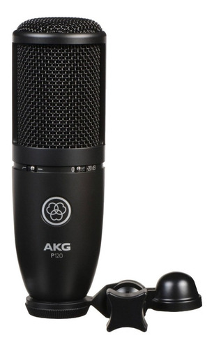 Imagen 12 de 12 de AKG P120 - Negro