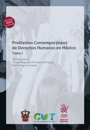 Problemas Contemporáneos De Derechos Humanos En México Tomo