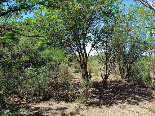 06742- Aloja Inmobiliaria - Vendo Lotes Desde 420m² A Metros Del Bv. Las Gemelas - Capilla Del Monte