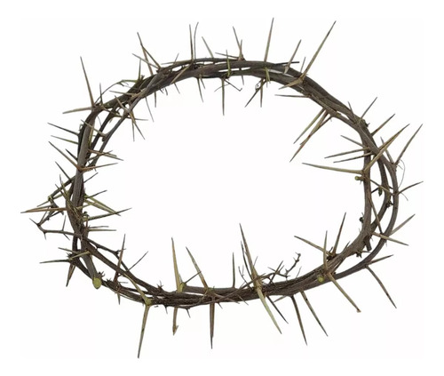 Corona De Espinas Reales Para Cristo - Representación