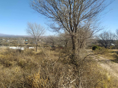 Imagen 3 de 6 de Lote Mirador Del Lago 980 M2 Con Escritura