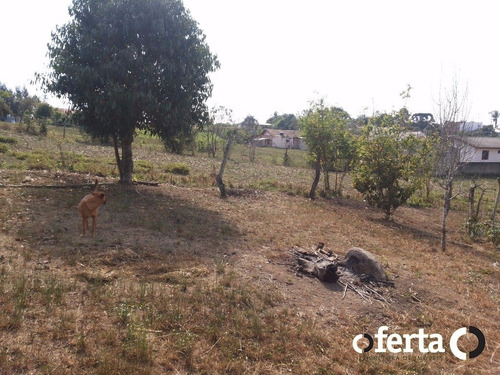 Imagem 2 de 15 de Chacara - Tamanqueira - Ref: 149 - V-149