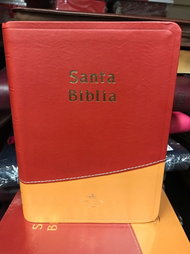 Biblia Tamaño Chico Rvr1960 Imitación Piel Duo Tono, Envío