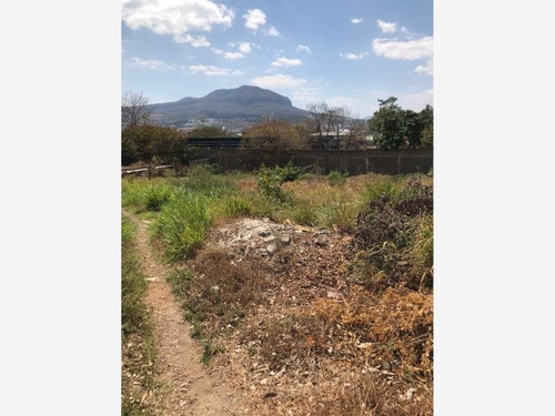 Imagen 4 de 5 de Terreno Comercial En Renta Fracc Municipal Los Laguitos