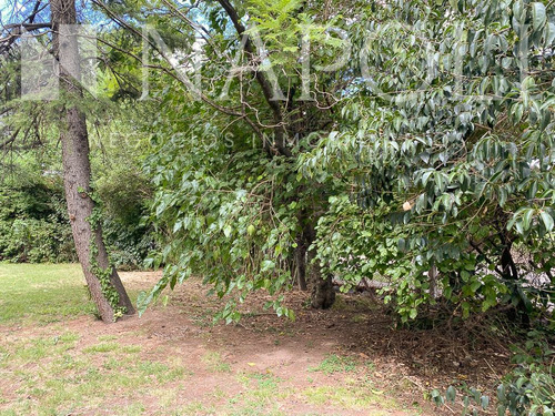 Imagen 2 de 11 de Venta De Lotes Excelente Zona Comercial, Monte Grande