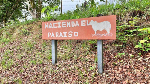 Imagen 25 de 25 de Jd. Se Vende Hermosa Finca En San Antonio De Caparo