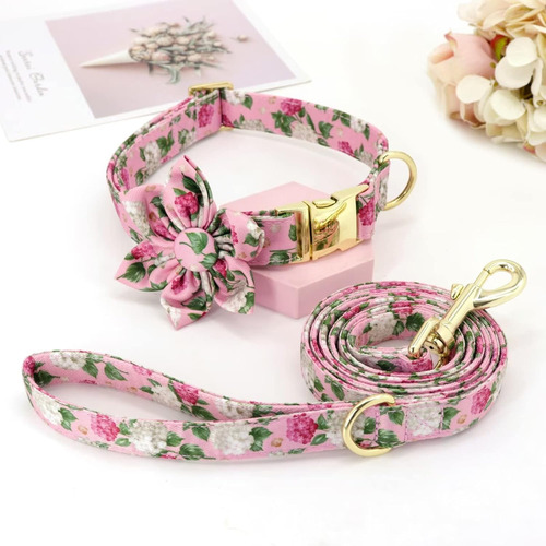 Beirui Lindo Juego De Collar Y Correa Para Perros Hembras, C
